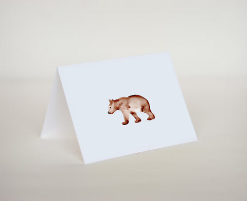 Baby Bear Notecard Set