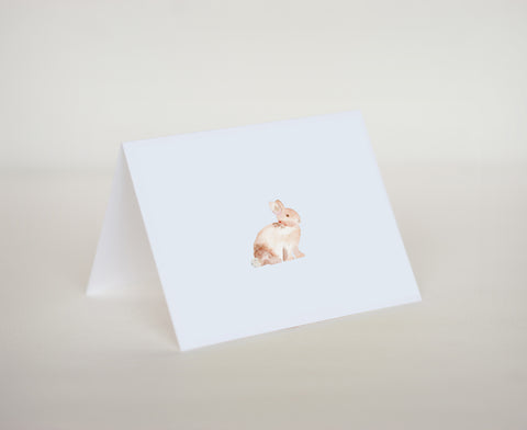 Baby Bunny Notecard Set