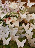 Butterfly Shaped Escort Cards