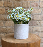Flora Vista Candle