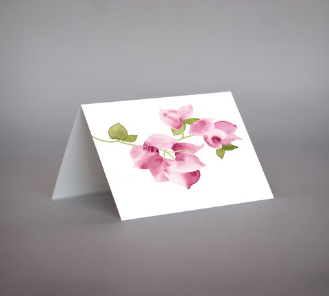 Bougainvillea Notecard Set