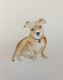 Custom Pup Portraits