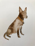 Custom Pup Portraits
