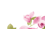 Bougainvillea Escort Card