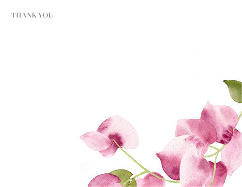 Bougainvillea Thank You