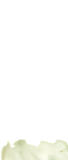 Eucalyptus Programs