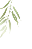 Eucalyptus Table Number