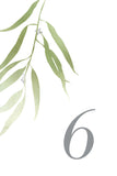 Eucalyptus Table Number