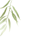 Eucalyptus Table Number