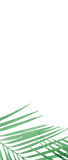 La Palma Programs