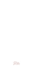 Magnolia Programs