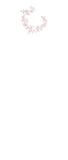 Magnolia Programs